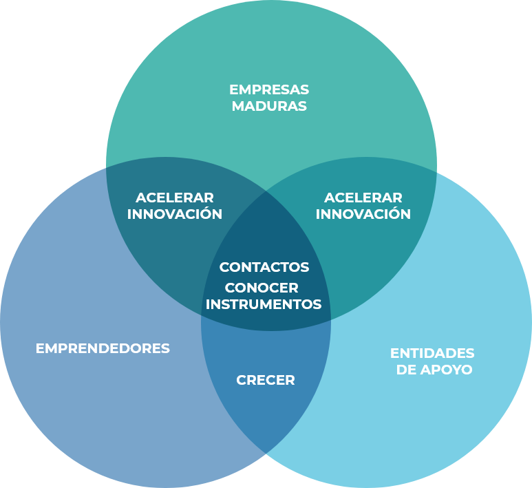 Empresas maduras, acelerar innovación, Contactos, Conocer Instrumentos, crecer, Emprendedores, entidades de apoyo